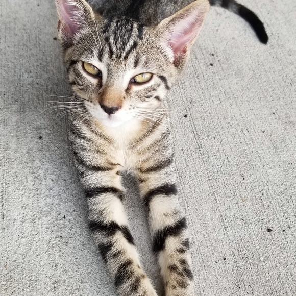 Meet your Posher, Heidi - Picture 1 of 1